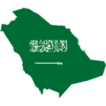 sudi-arabistan-logo